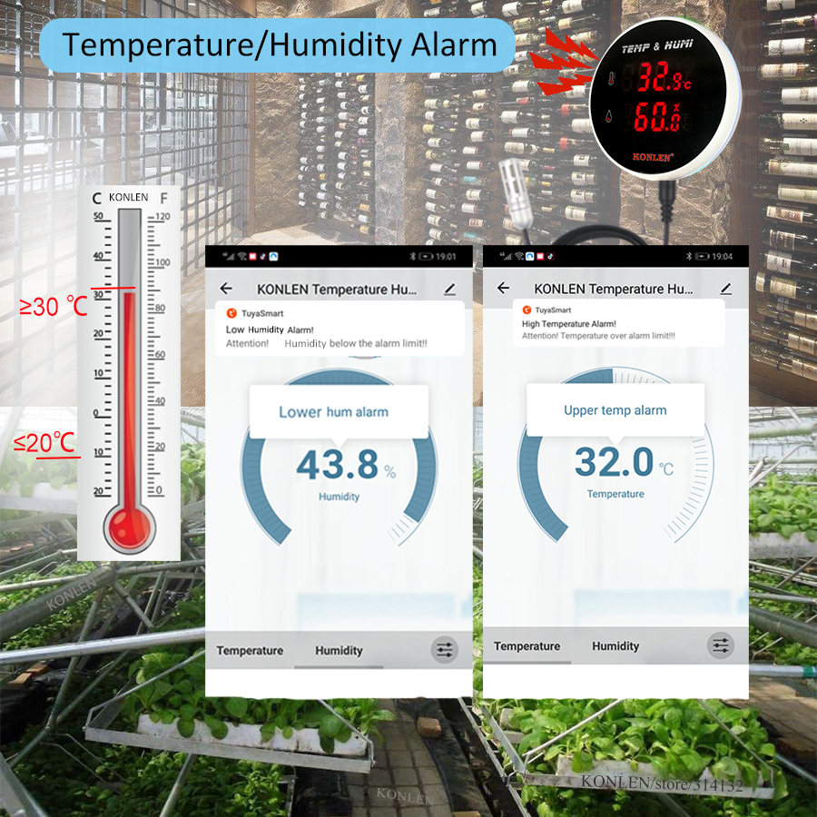 Tuya WIFI Temperature Humidity - Digital Hygrometer Probe 评论和价格