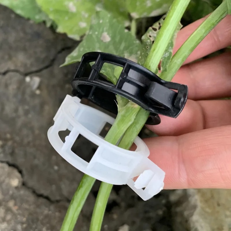 Reusable Plastic Plant Support - Vine Climbing Plastic 评论和价格
