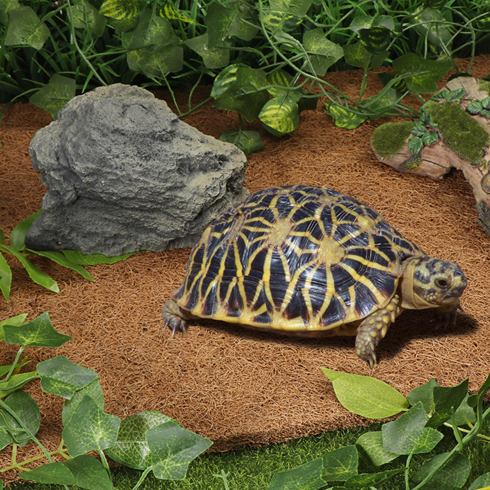 Reptile Thermal Substrate Carp - Substrate Coconut Fiber 评论和价格