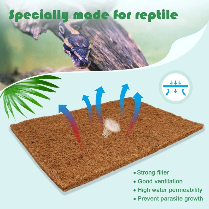 Pack Of 4 Natural Coconut Fibe - Substrate Coconut Fiber 评论和价格