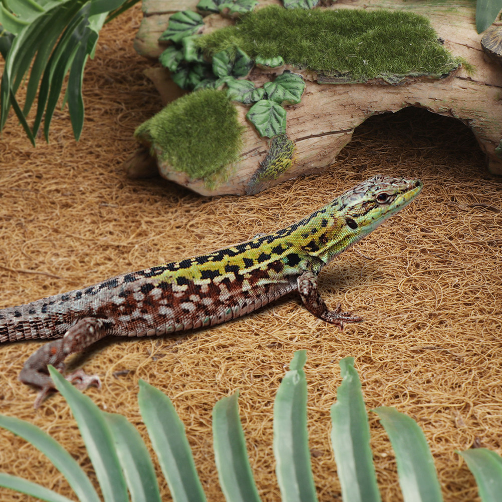 Coconut Fiber Reptile Mat Non- - Substrate Coconut Fiber 评论和价格