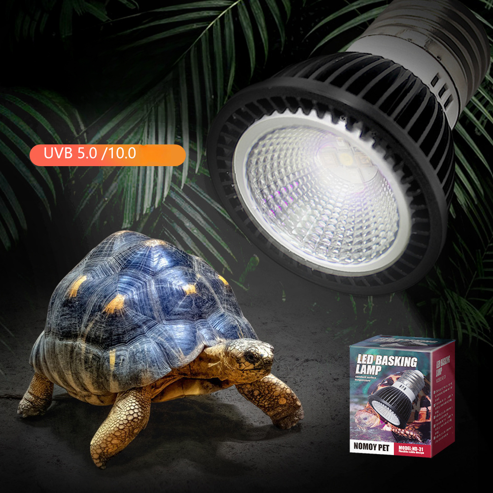 Reptile 110/220V UVB+UVA Light - Calcium Powder Reptile 评论和价格