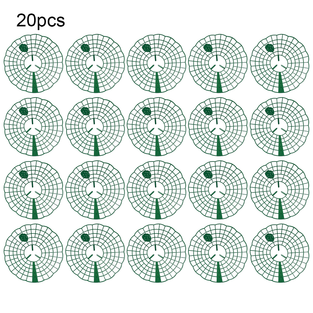 20PCS Strawberry Stand Green C - Vine Climbing Plastic 评论和价格