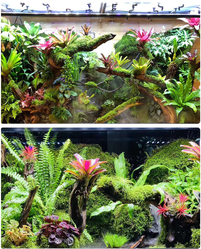 MINI Adjustable Reptile Fogger - Misting Nozzle Reptile 评论和价格