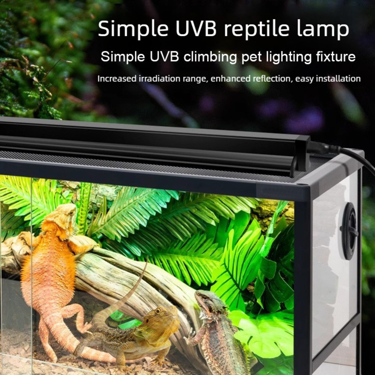 Reptile UVB Lamp Combo Kit UVA - Calcium Powder Reptile 评论和价格
