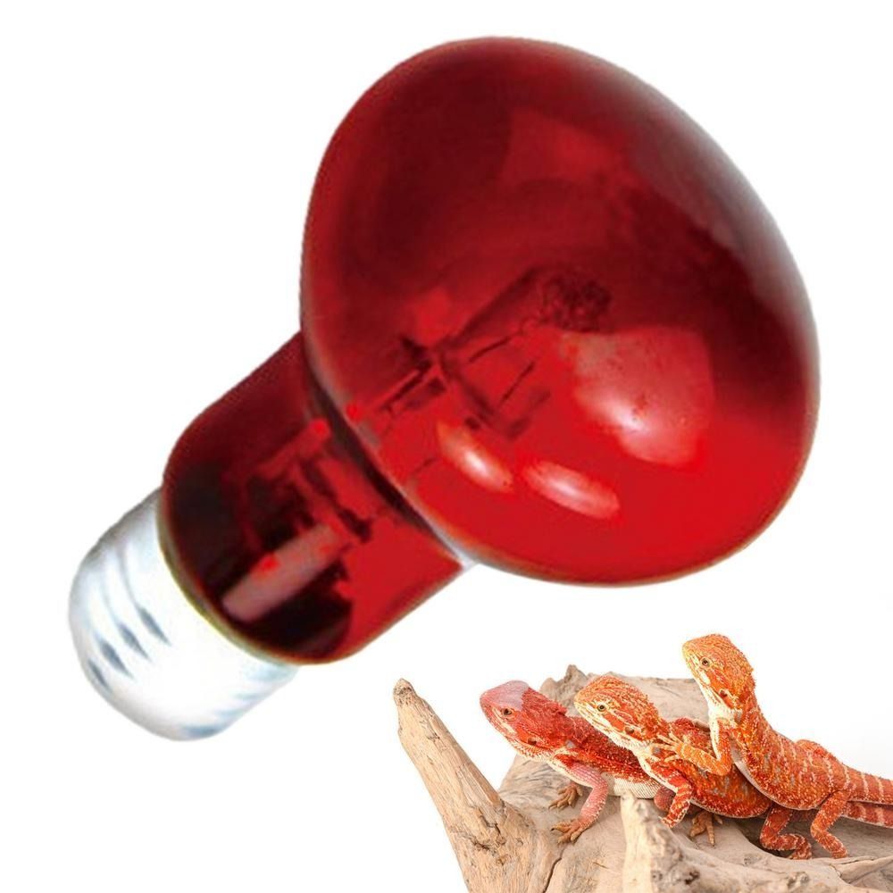 Infrared Led Pet Heating Lamp  - Ceramic Heat Emitter 评论和价格