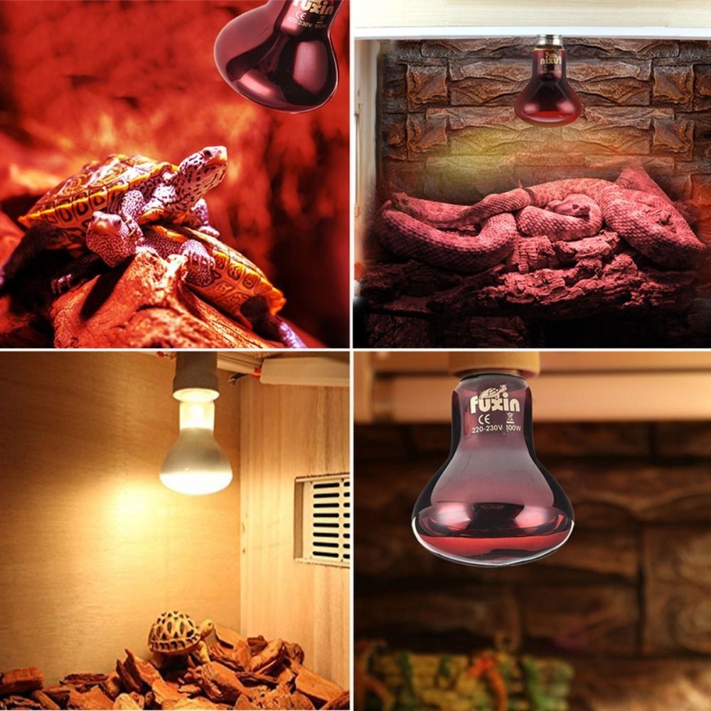 Infrared Led Pet Heating Lamp  - Ceramic Heat Emitter 评论和价格