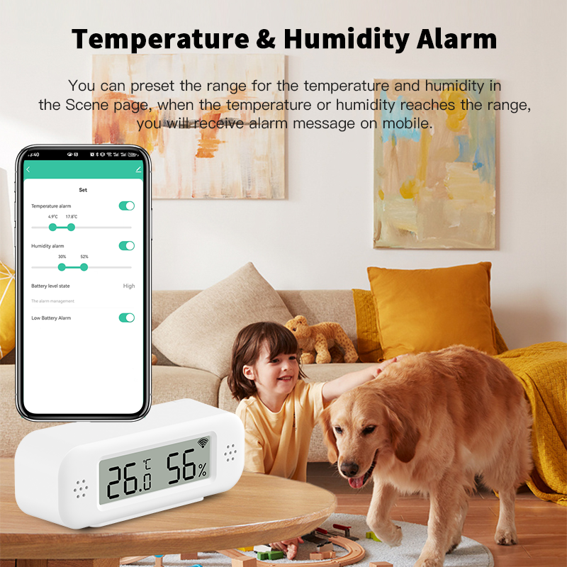 Tuya Zigbee 3.0 Mini Temperatu - Digital Hygrometer Probe 评论和价格