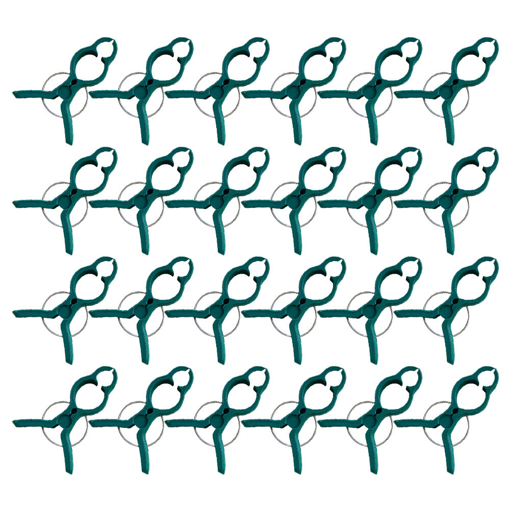 50Pcs Tomato Stem Support Clip - Vine Climbing Plastic 评论和价格