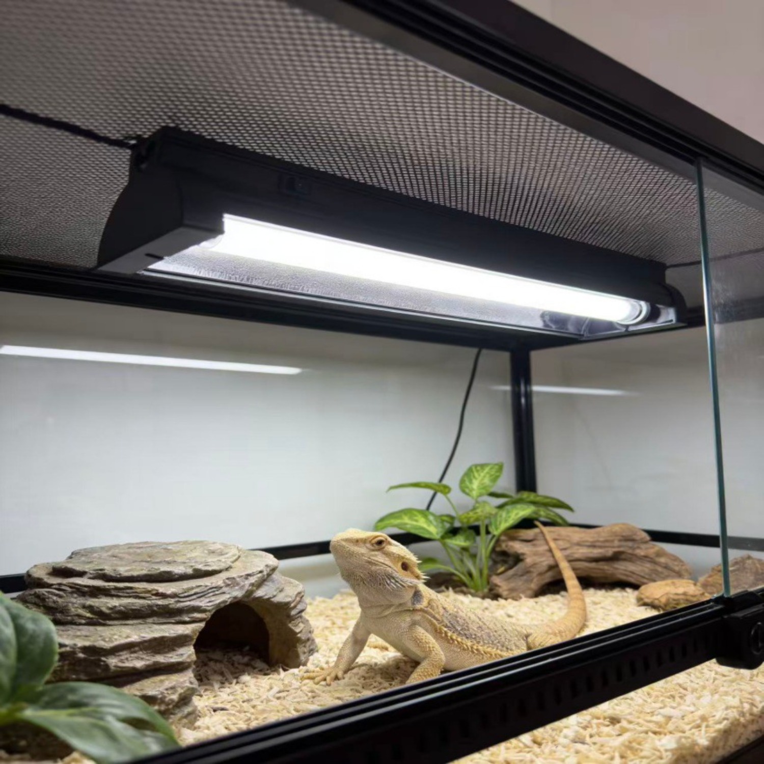 T5 UVB Reptile Light Fixture K - Calcium Powder Reptile 评论和价格
