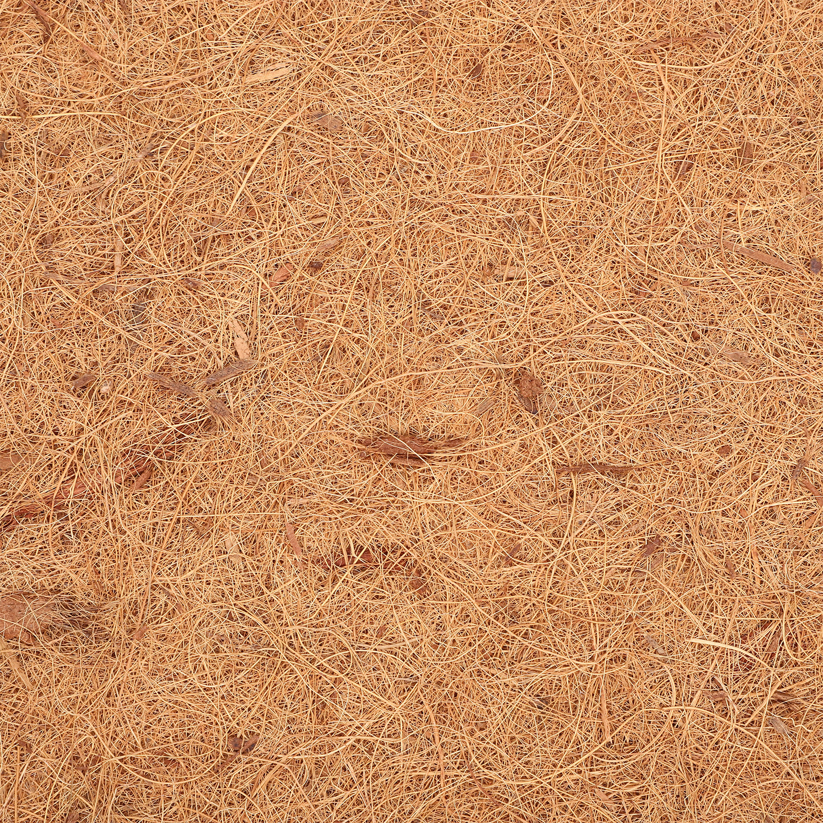 Coconut Fiber Reptile Carpet M - Substrate Coconut Fiber 评论和价格