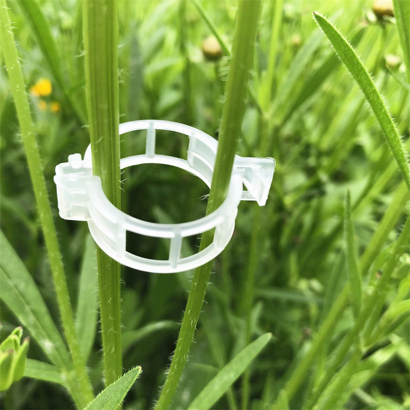 100pcs Clear Plastic Plant Cli - Vine Climbing Plastic 评论和价格