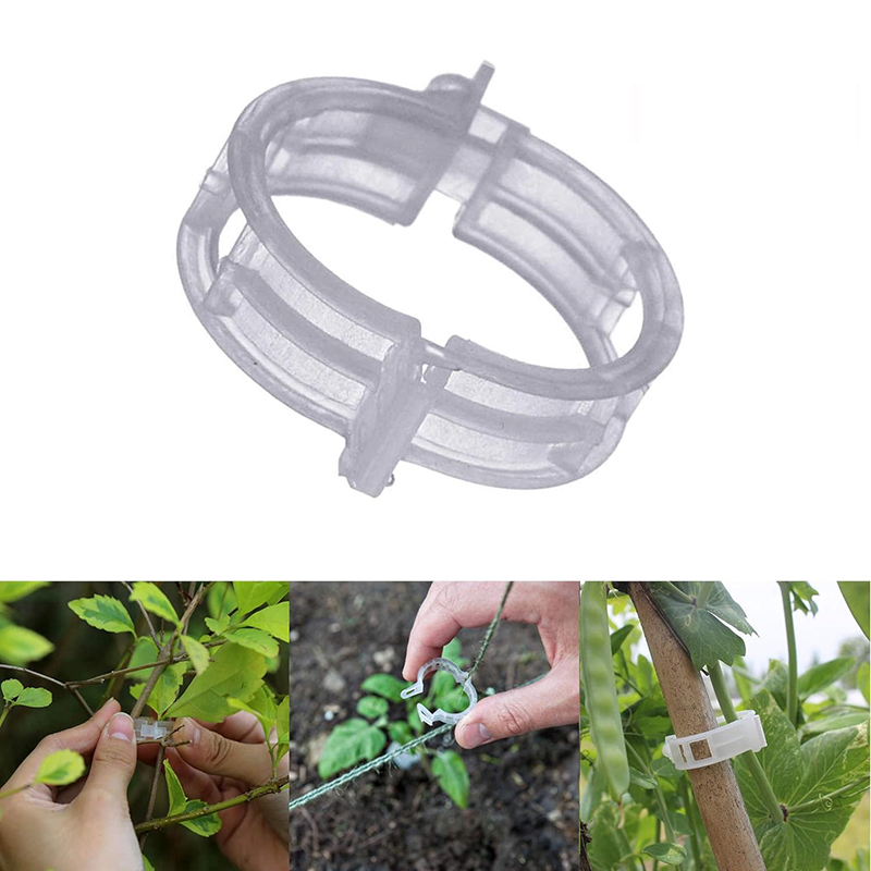 100pcs Clear Plastic Plant Cli - Vine Climbing Plastic 评论和价格
