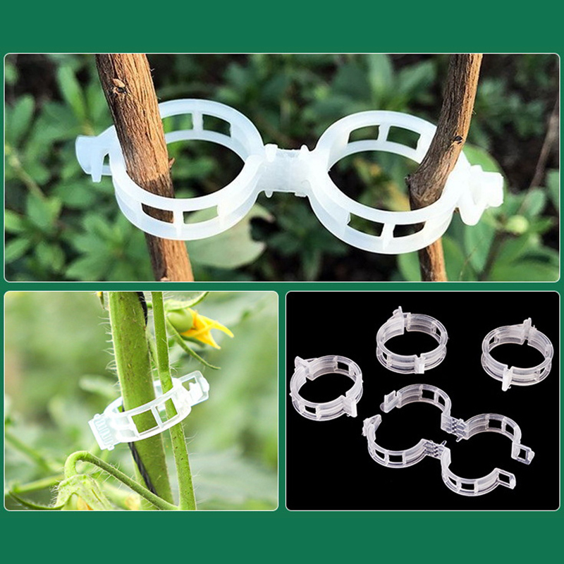 100pcs Clear Plastic Plant Cli - Vine Climbing Plastic 评论和价格