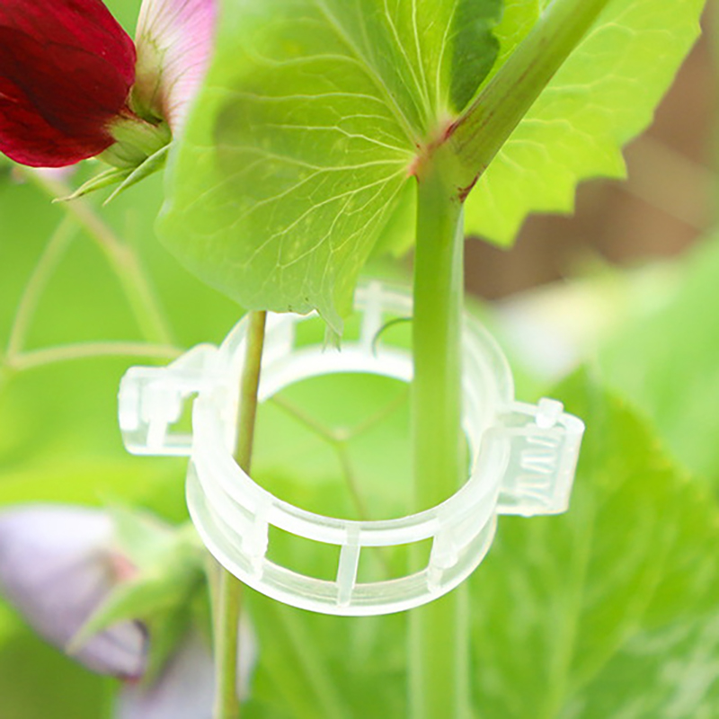 100pcs Clear Plastic Plant Cli - Vine Climbing Plastic 评论和价格