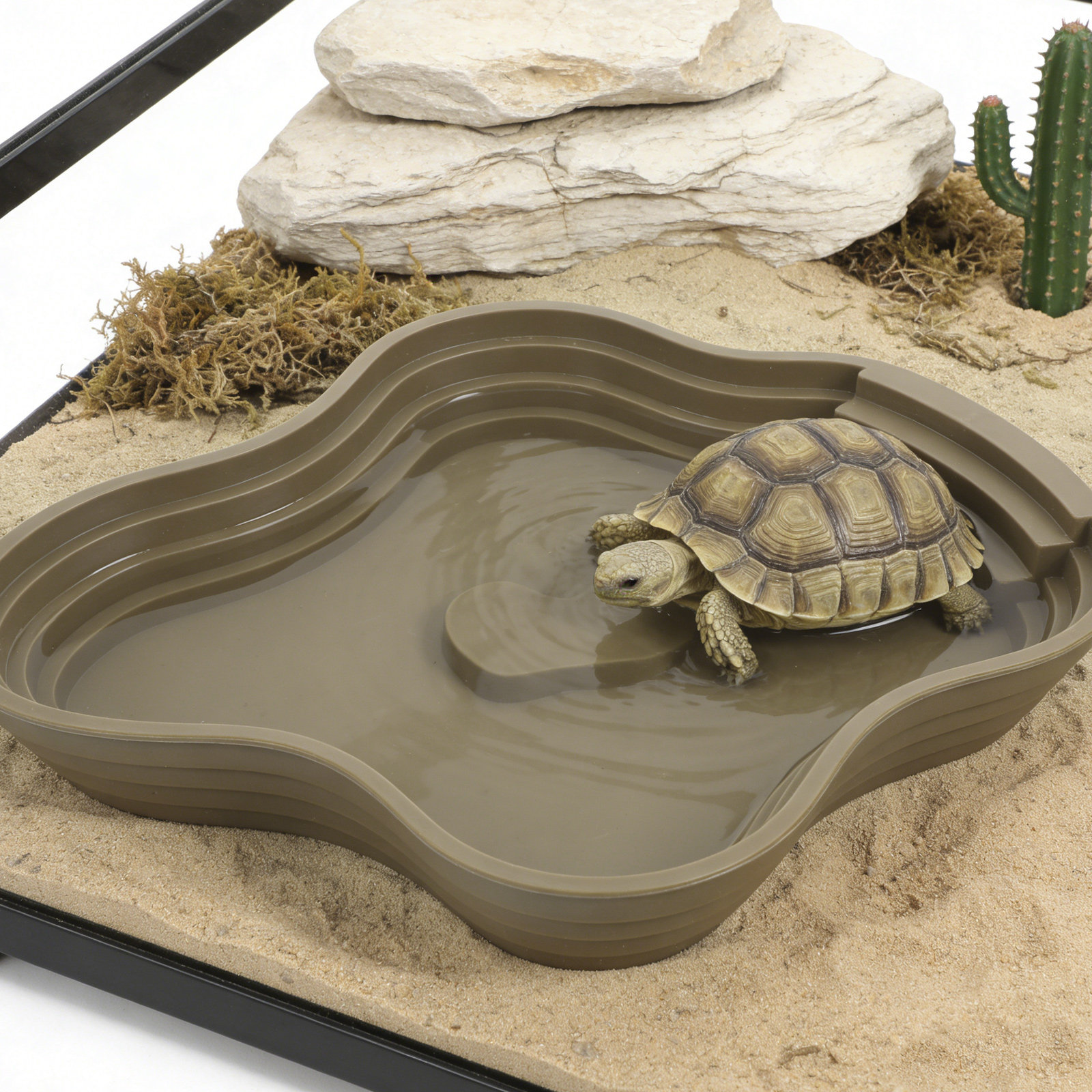 Large Turtle Reptile Bathing P - Water Dish Reptile 评论和价格