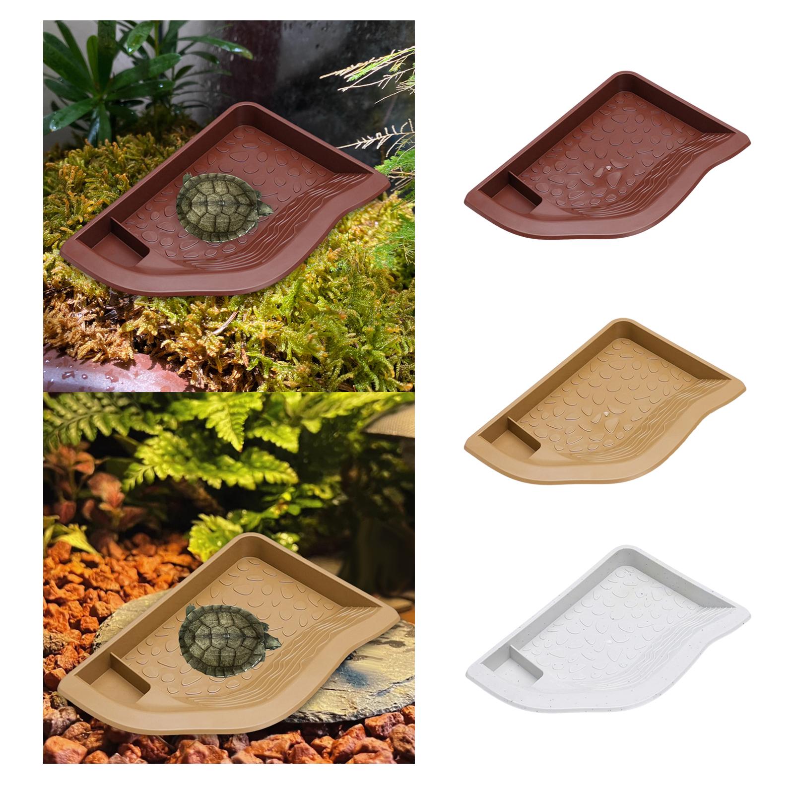 Reptile Pool Water Dish, Torto - Water Dish Reptile 评论和价格