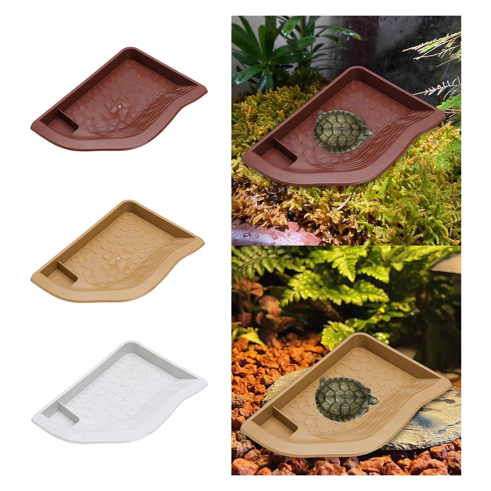 Reptile Pool Water Dish, Torto - Water Dish Reptile 评论和价格