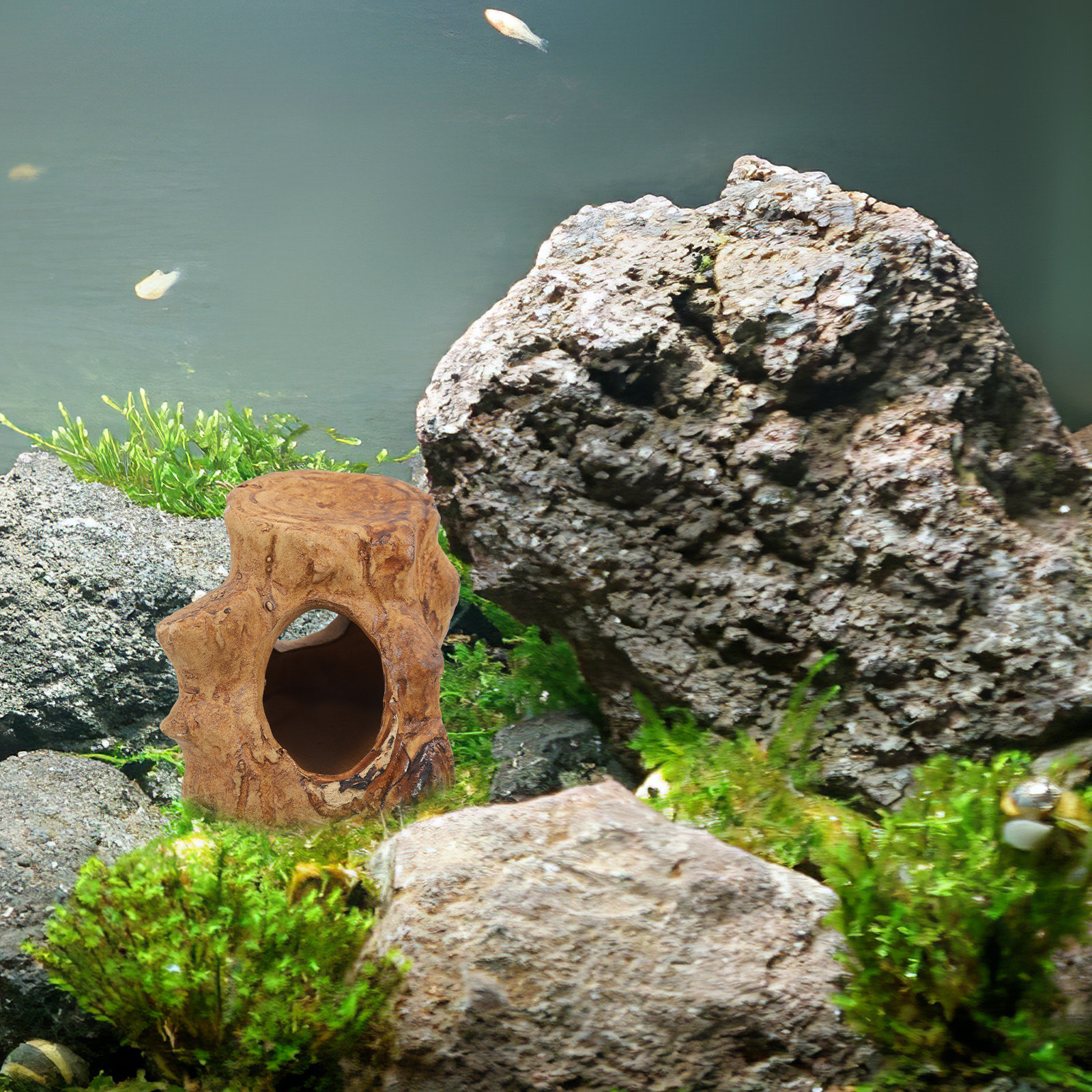 Pleco Caves for Aquarium Fish  - Hide Cave Ceramic 评论和价格