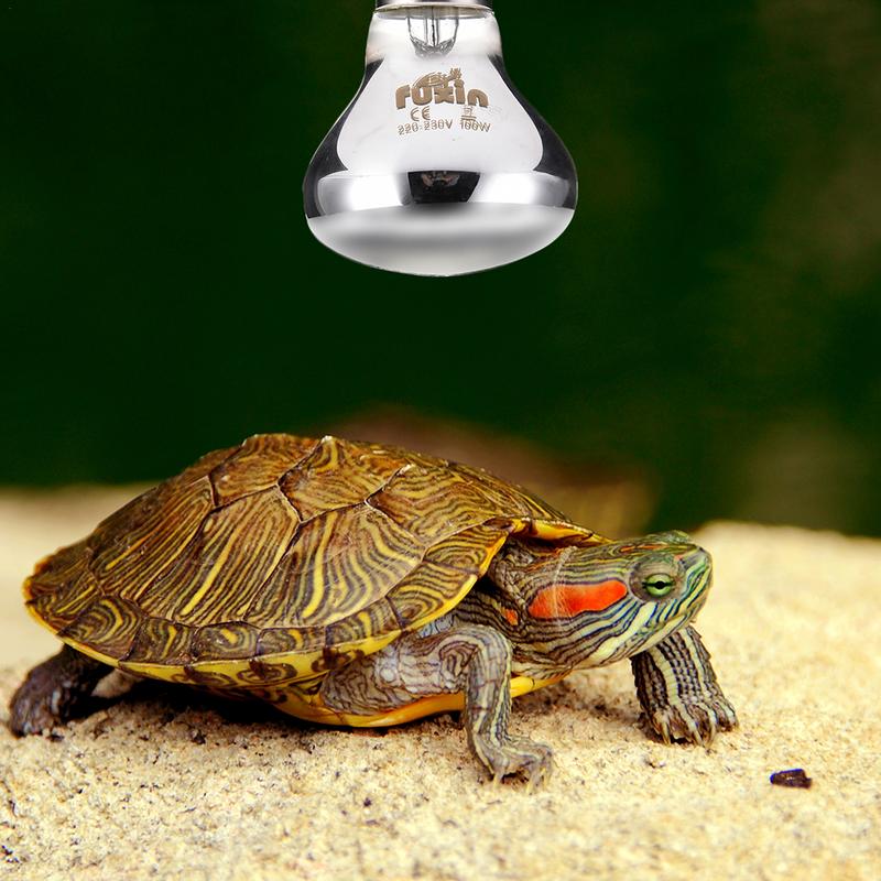 Pet Heating Lamp E27 Day Night - Ceramic Heat Emitter 评论和价格