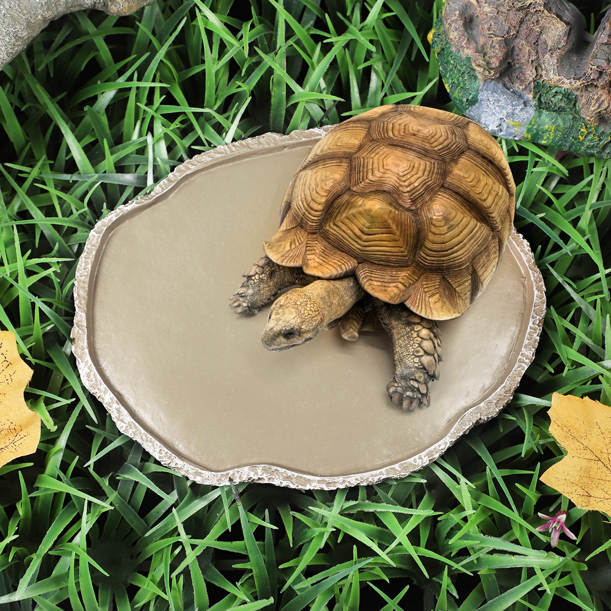 Pets Feeding Plate Reptile Fee - Water Dish Reptile 评论和价格