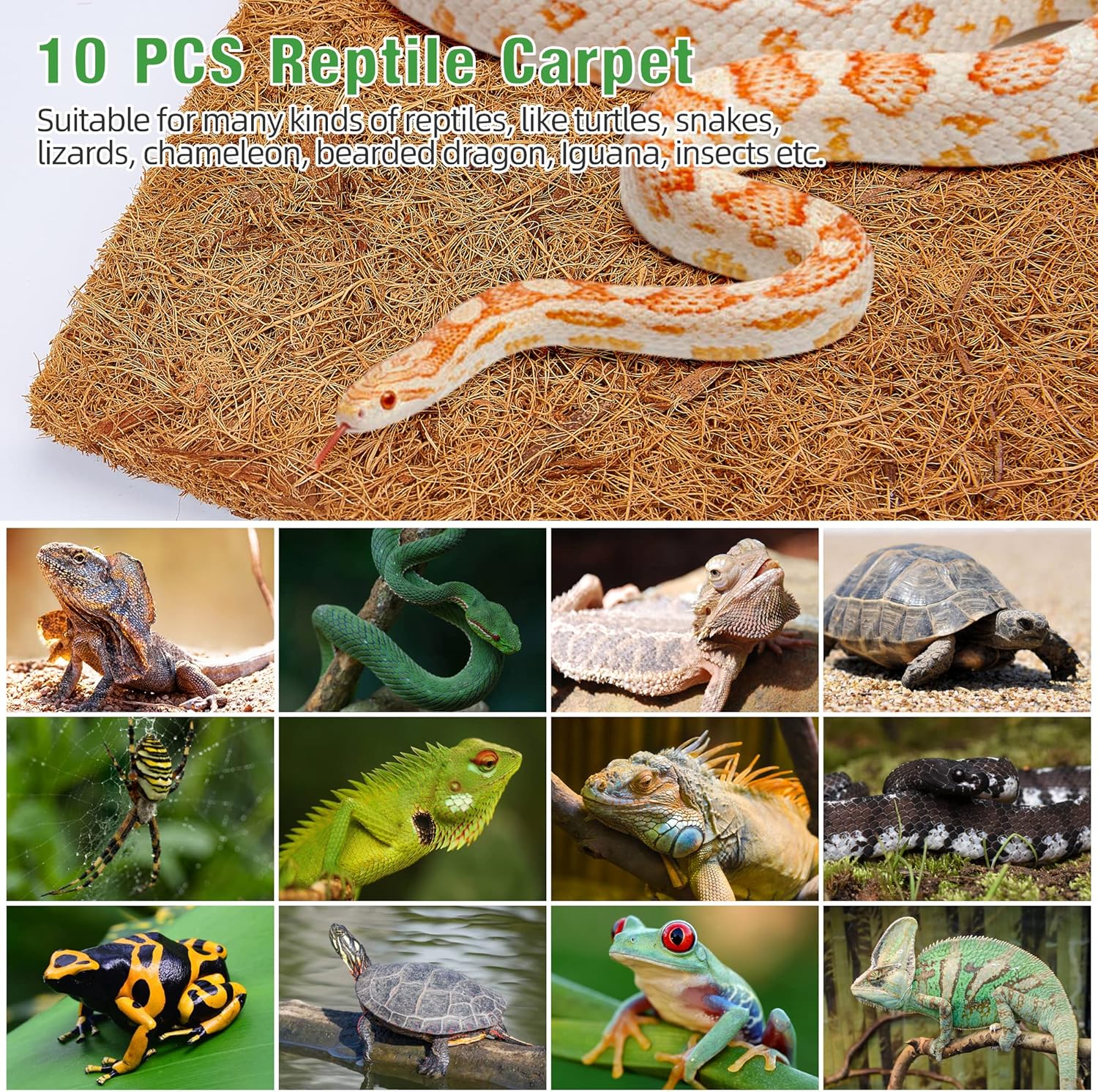 10 Pcs Reptile Carpet, 12x12 i - Substrate Coconut Fiber 评论和价格