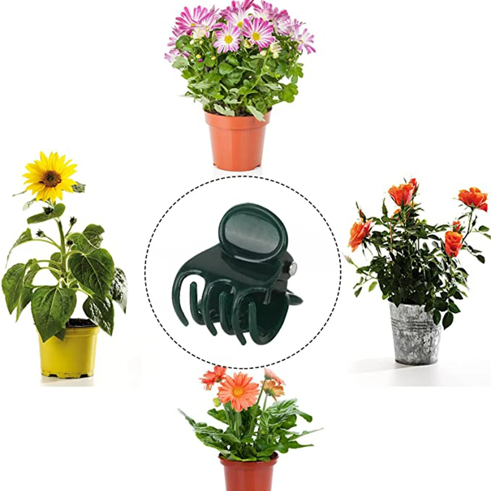 Phalaenopsis Orchid Support Cl - Vine Climbing Plastic 评论和价格
