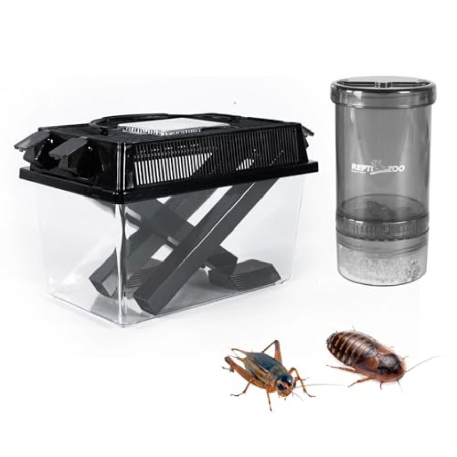 【Spot goods】Reptile Cricket Ke - Calcium Powder Reptile 评论和价格