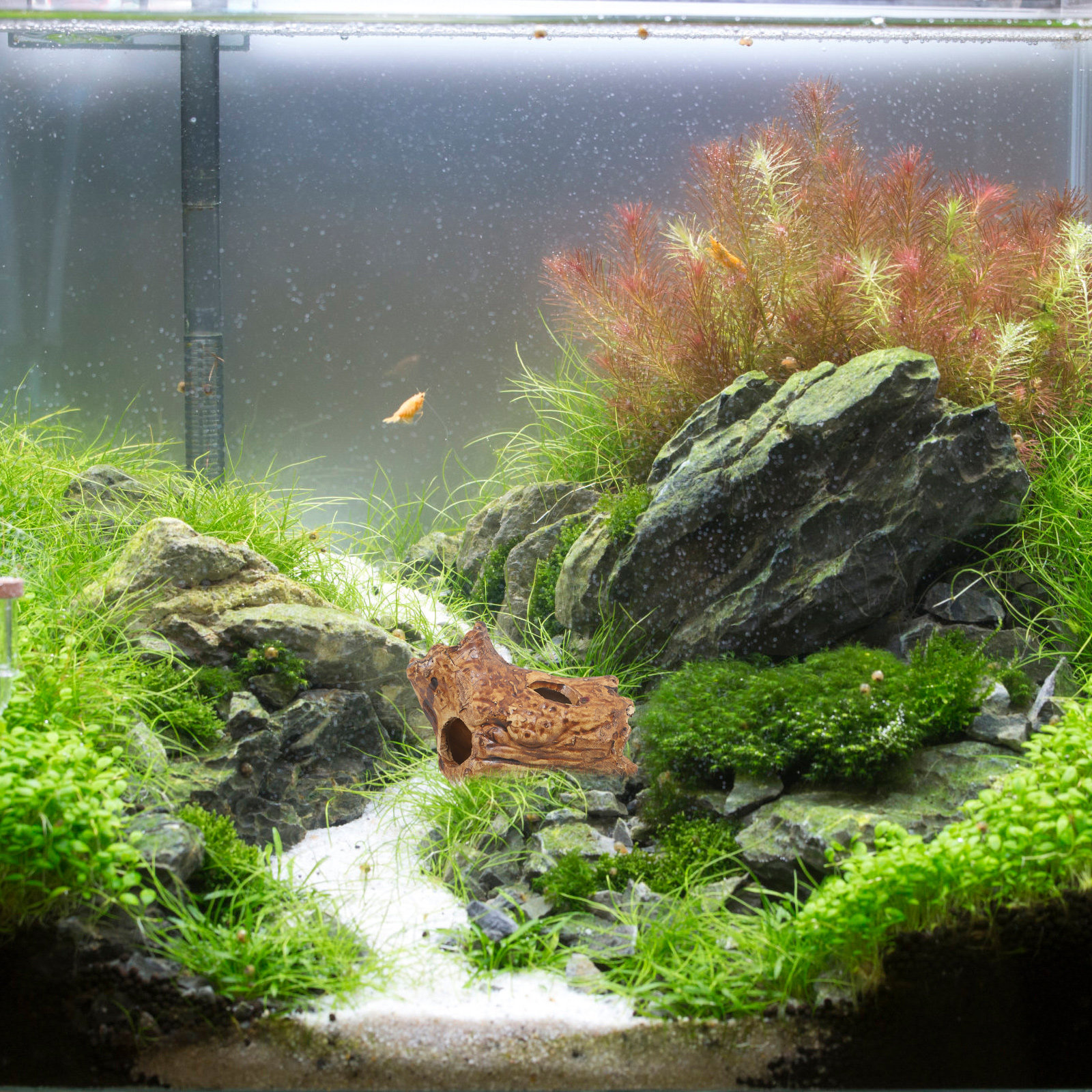 Premium Ceramic Aquarium Hides - Hide Cave Ceramic 评论和价格