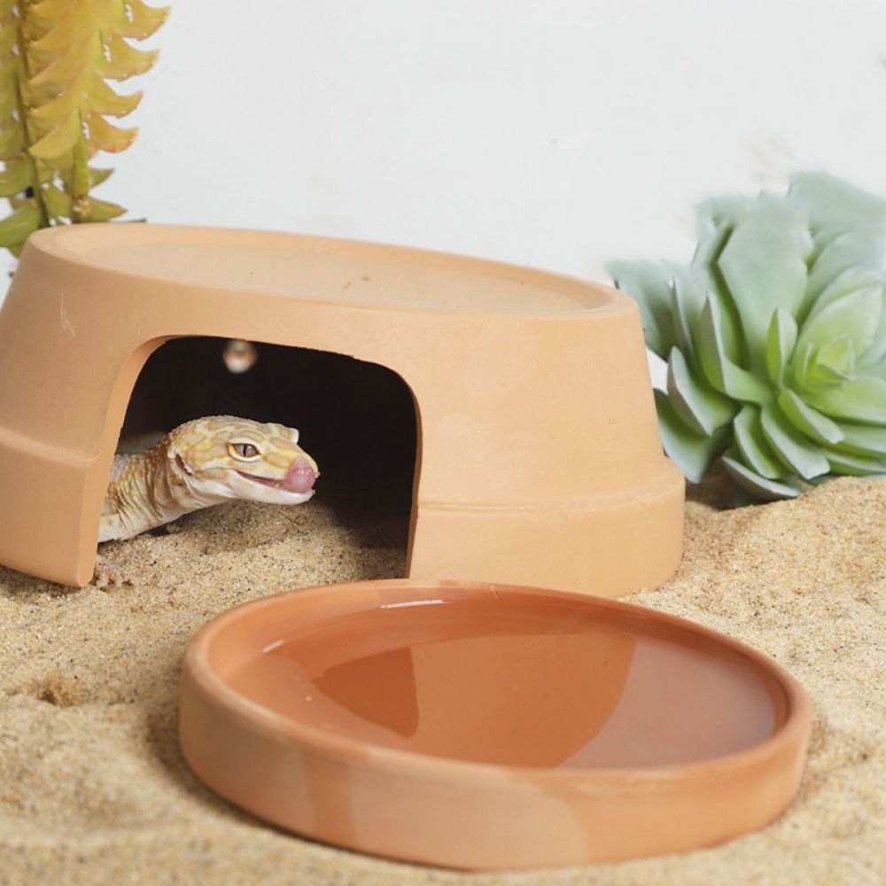 Multifunctional Ceramics Repti - Hide Cave Ceramic 评论和价格