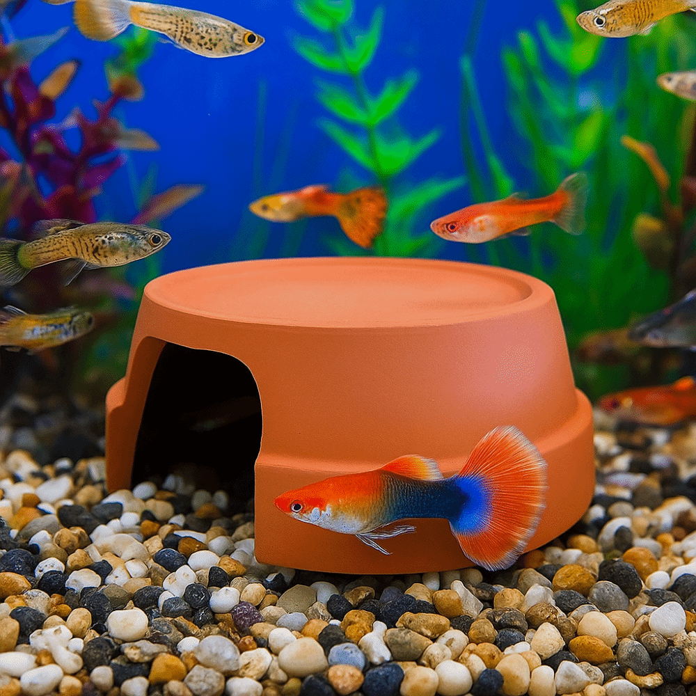 Multifunctional Ceramics Repti - Hide Cave Ceramic 评论和价格