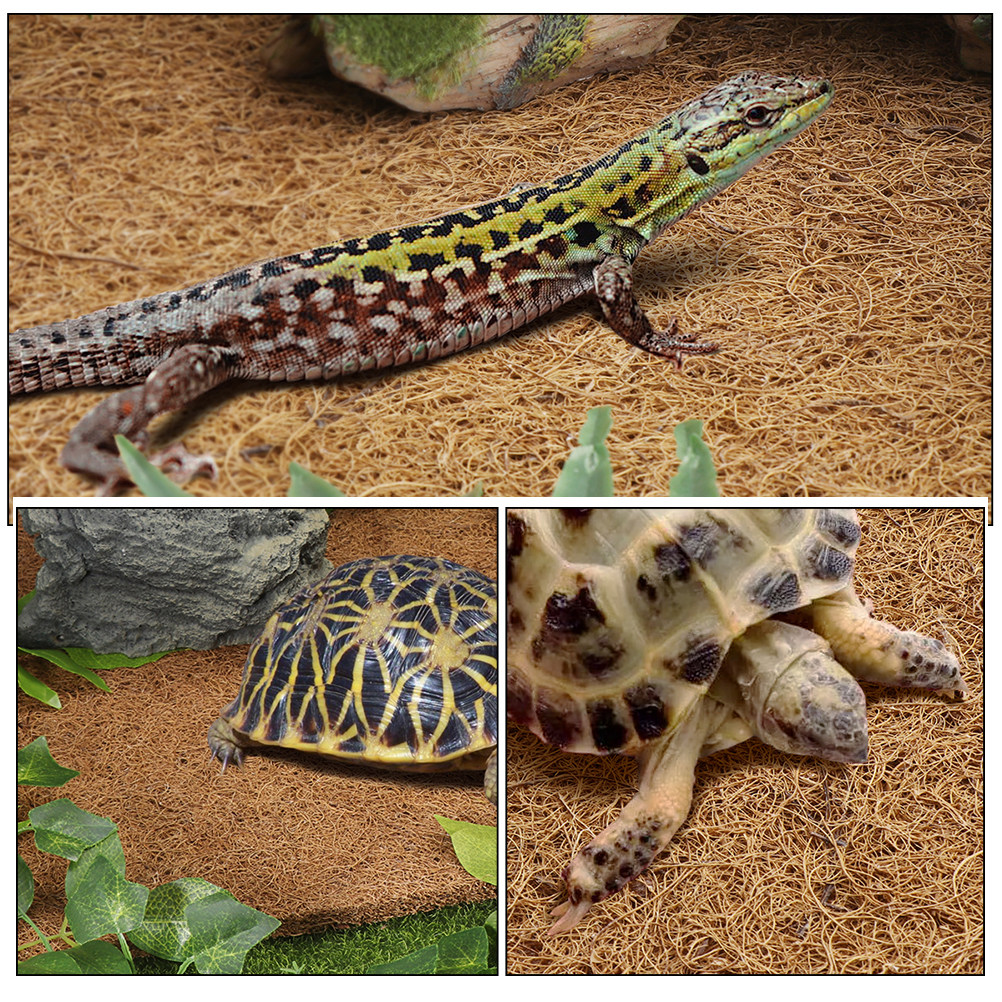 Reptile Carpet Natural Coconut - Substrate Coconut Fiber 评论和价格