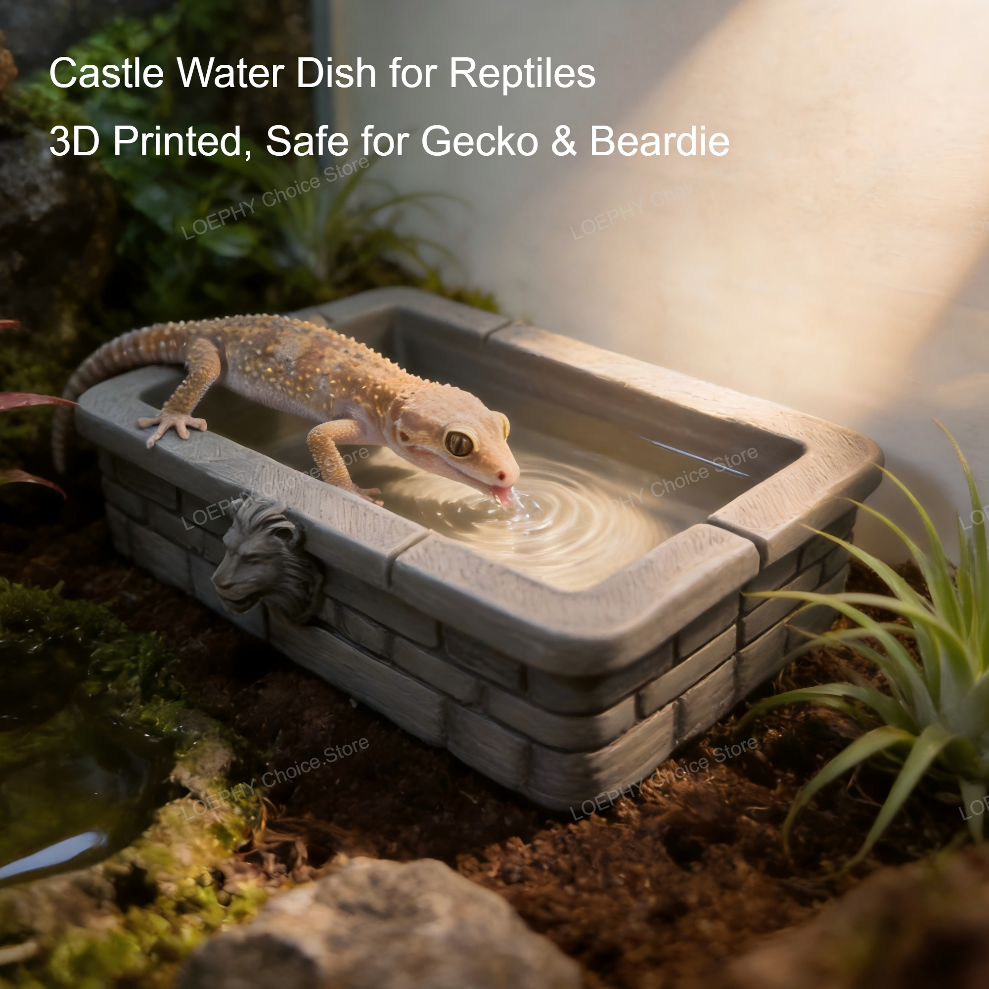 Reptile Water Bowl 3D Printed  - Water Dish Reptile 评论和价格