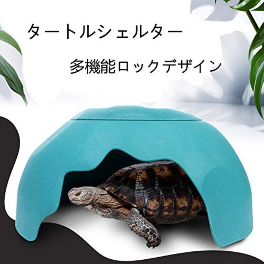 【Spot goods】Reptiles House wit - Hide Cave Ceramic 评论和价格