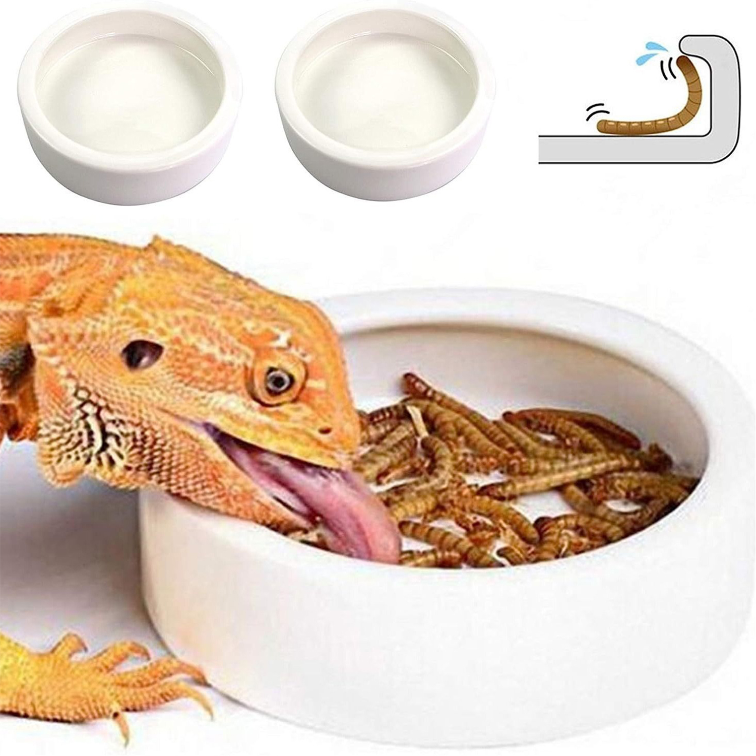 Reptile Food Bowl Feeding and  - Water Dish Reptile 评论和价格