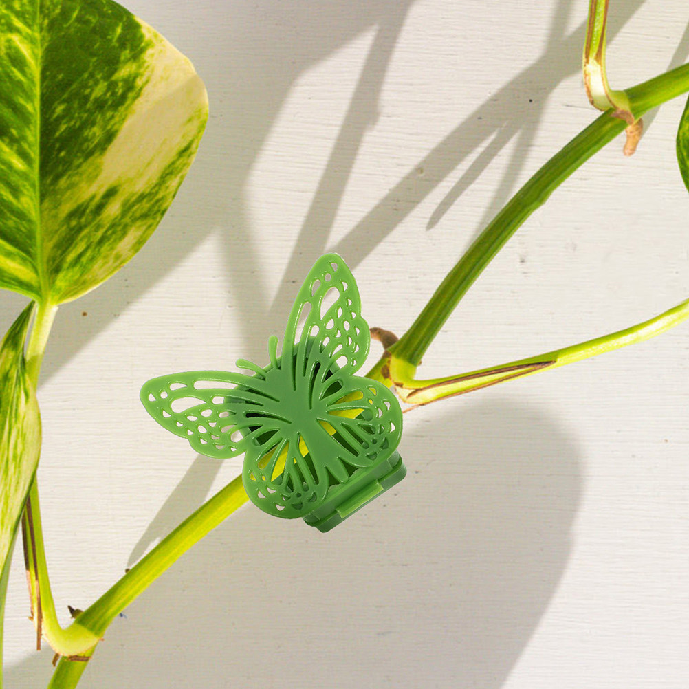 20Pcs Plastic Trellis Clips fo - Vine Climbing Plastic 评论和价格