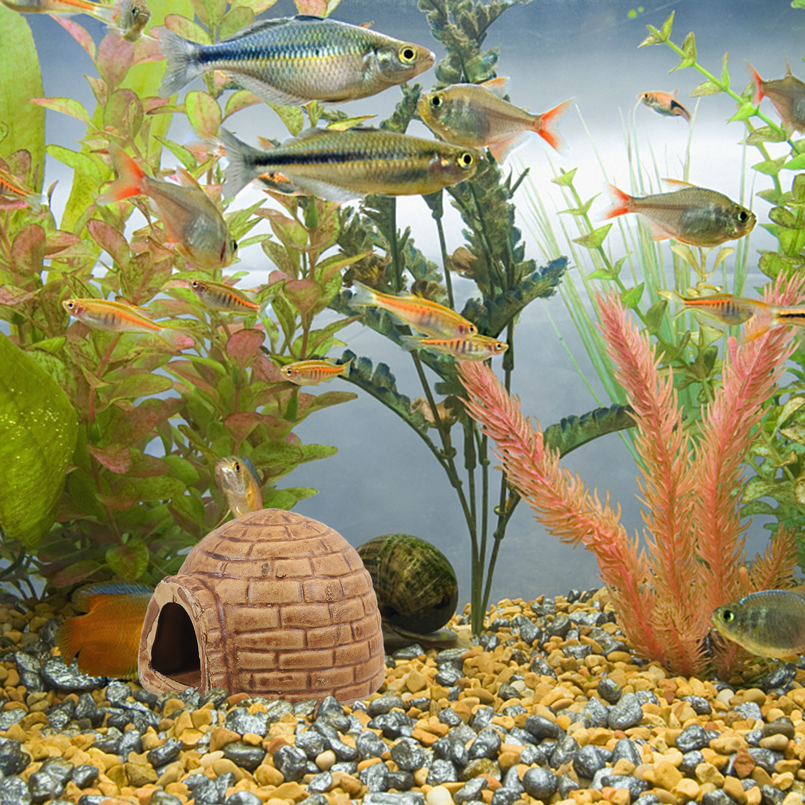 Ceramic Pleco Caves for Aquari - Hide Cave Ceramic 评论和价格