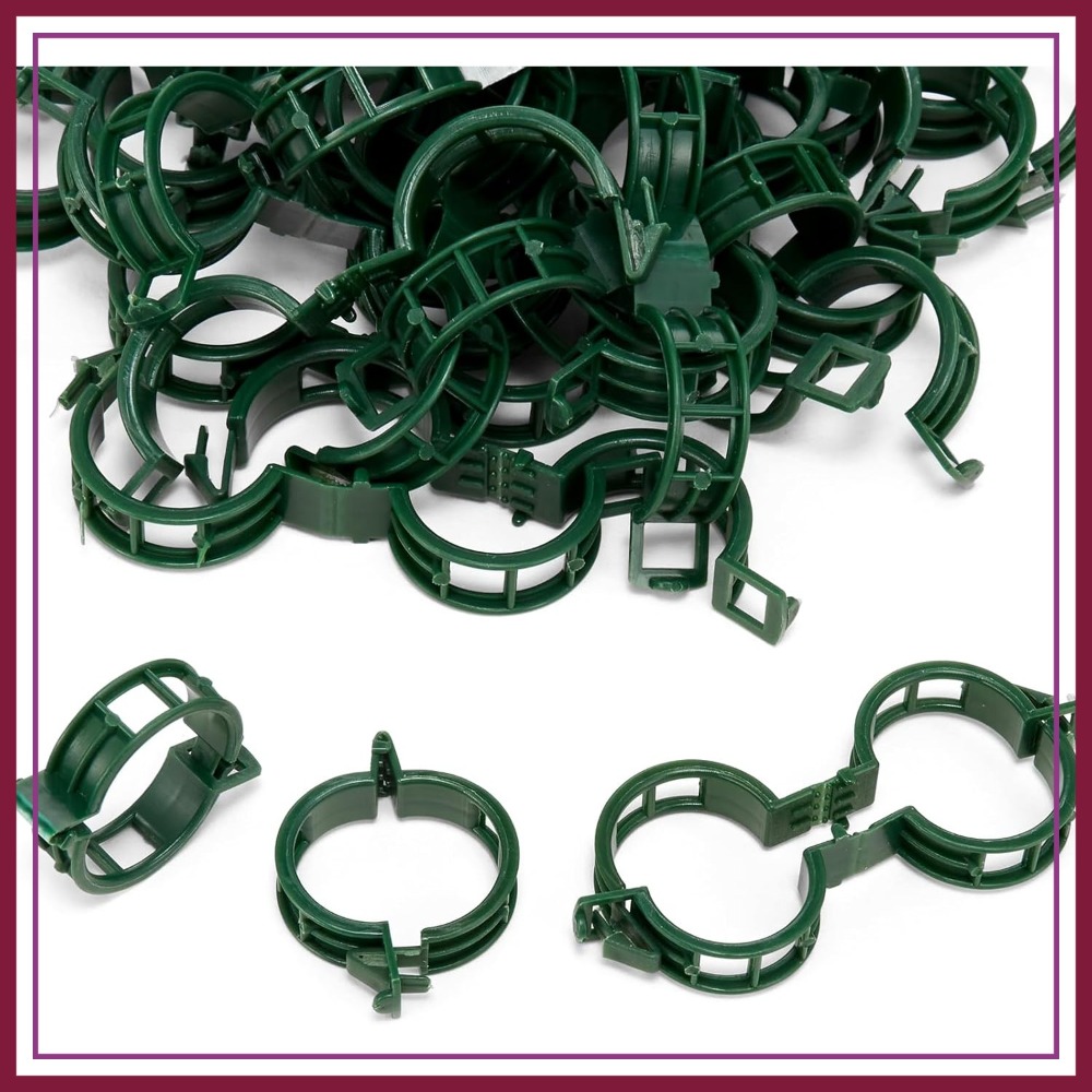 100 Pcs Plant Support Clips fo - Vine Climbing Plastic 评论和价格