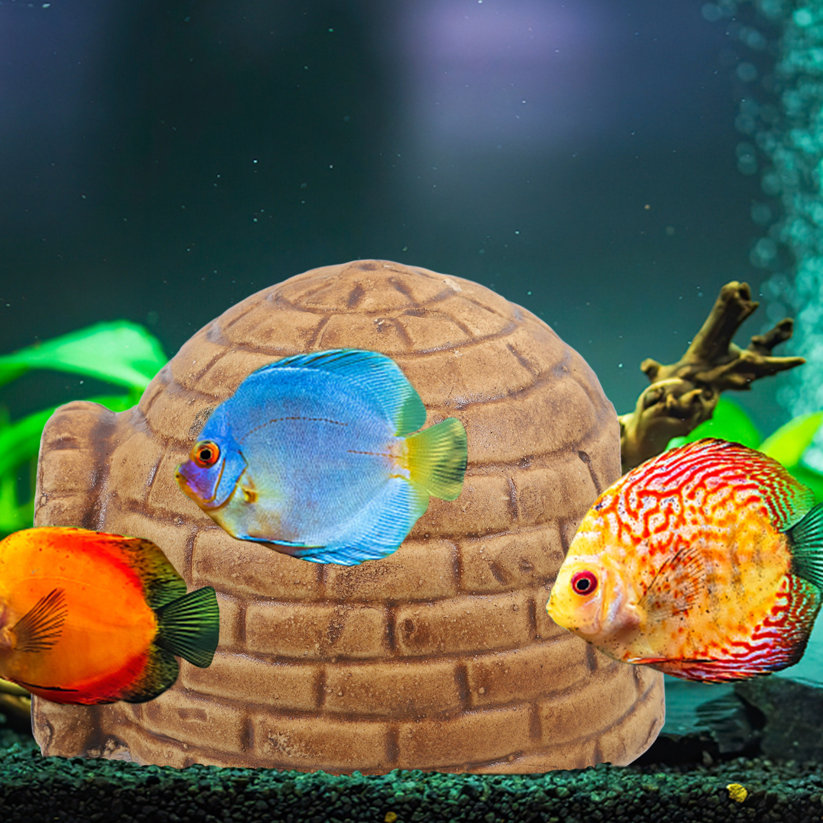 Ceramic Pleco Caves for Aquari - Hide Cave Ceramic 评论和价格