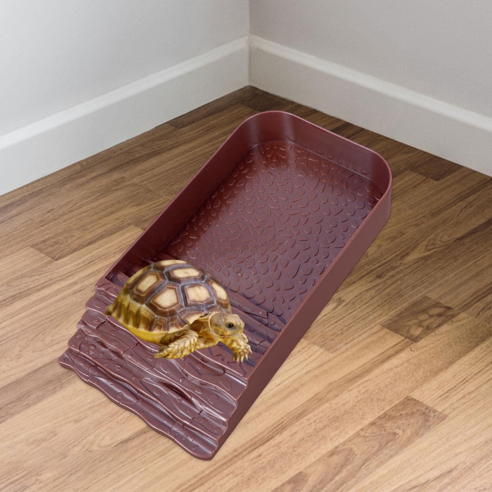 Reptile Water Bowl Accessories - Water Dish Reptile 评论和价格