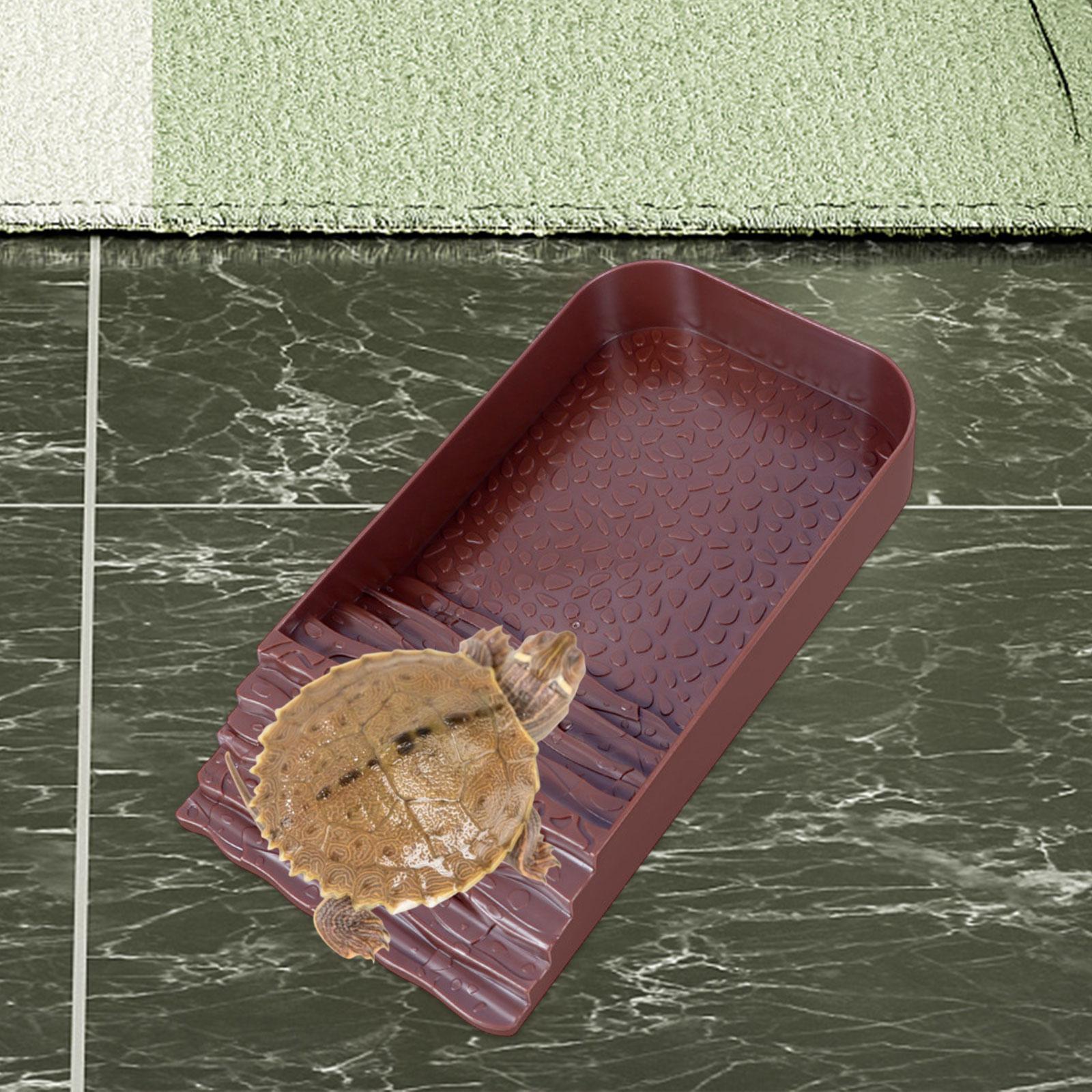 Reptile Water Bowl Accessories - Water Dish Reptile 评论和价格
