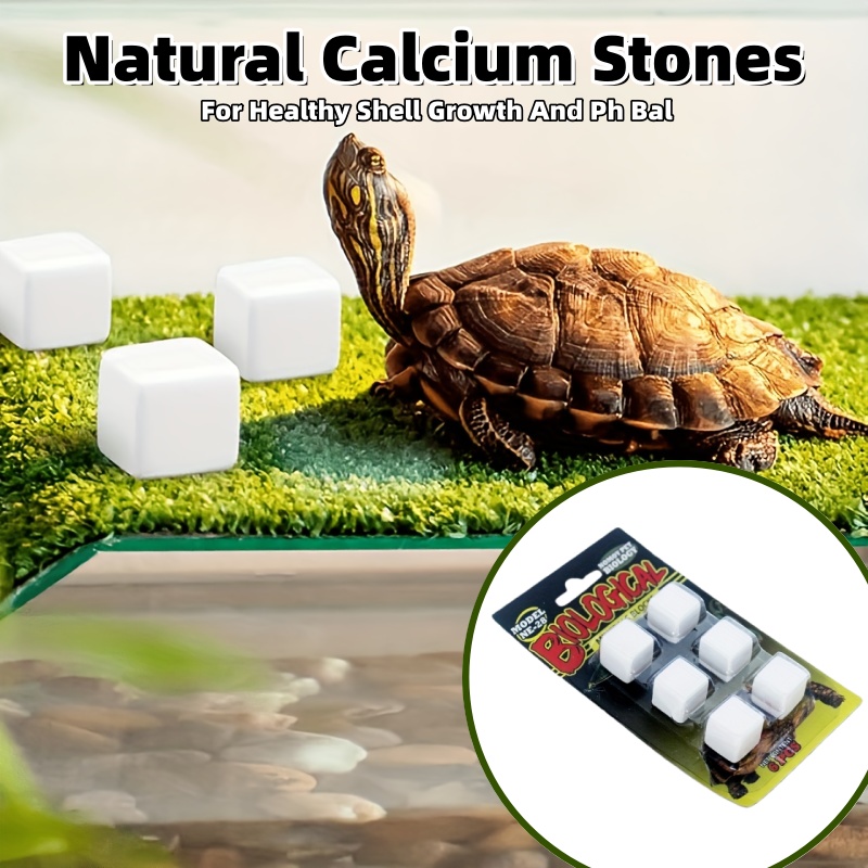 6 Pcs Fish Tank Calcium Block  - Calcium Powder Reptile 评论和价格