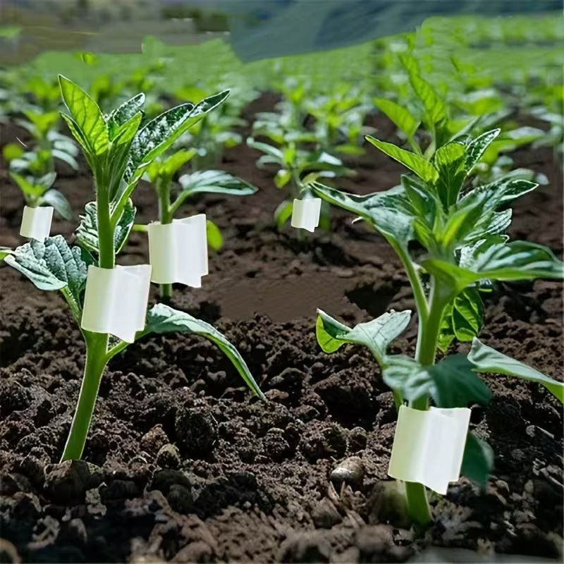 50pcs Agriculture Grafting Cli - Vine Climbing Plastic 评论和价格