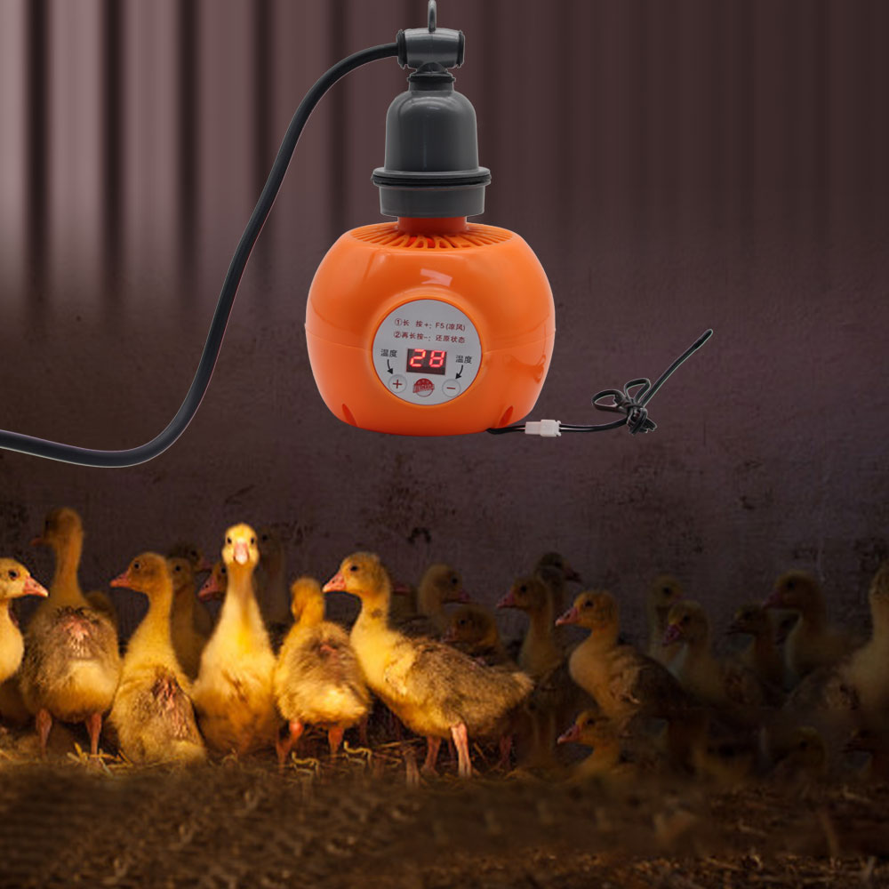 Pet Heater Animal Heating Lamp - Ceramic Heat Emitter 评论和价格