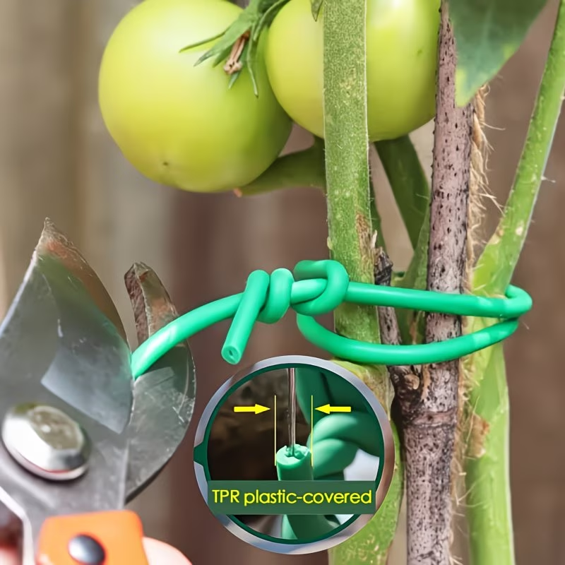 1Roll Heavy-Duty Garden Cable  - Vine Climbing Plastic 评论和价格