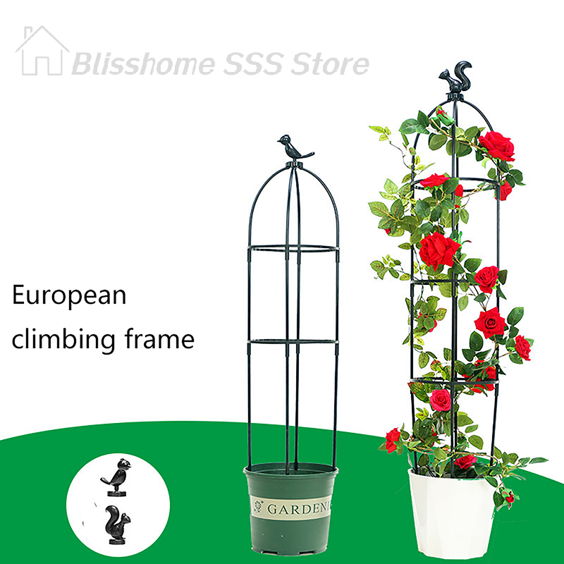 【S】1Set Climbing Plant Trellis - Vine Climbing Plastic 评论和价格