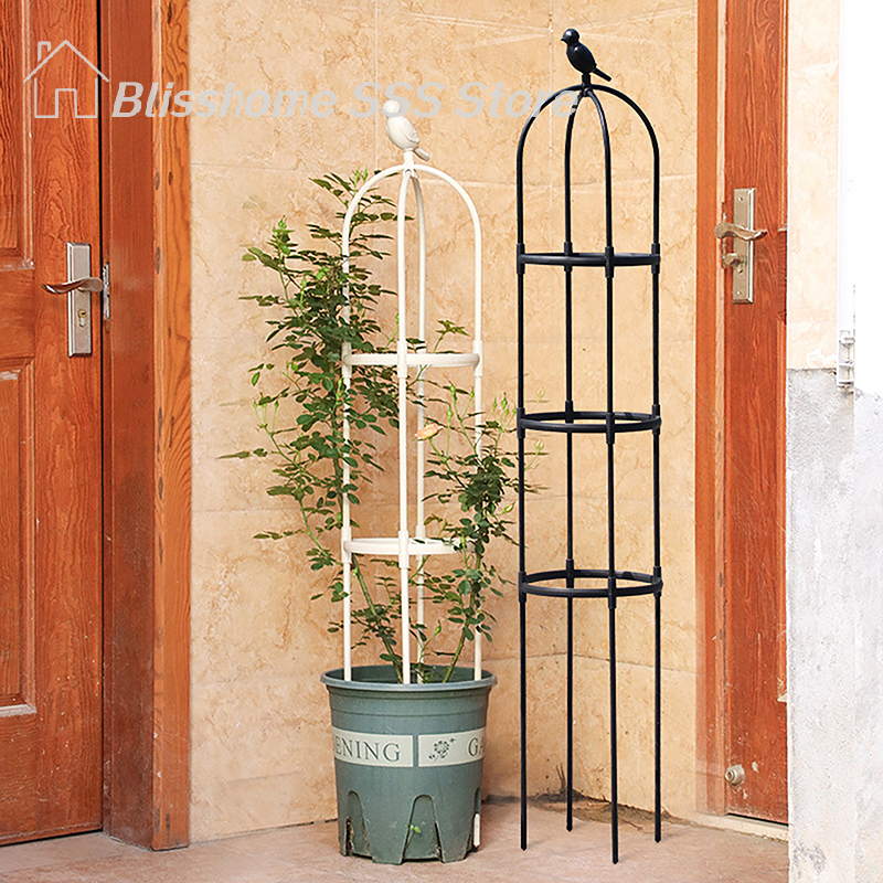 【S】1Set Climbing Plant Trellis - Vine Climbing Plastic 评论和价格