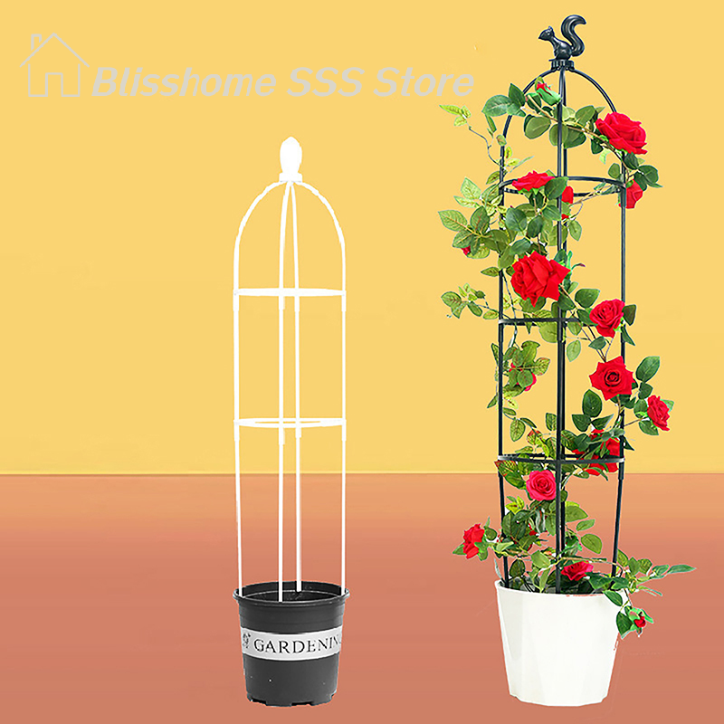 【S】1Set Climbing Plant Trellis - Vine Climbing Plastic 评论和价格