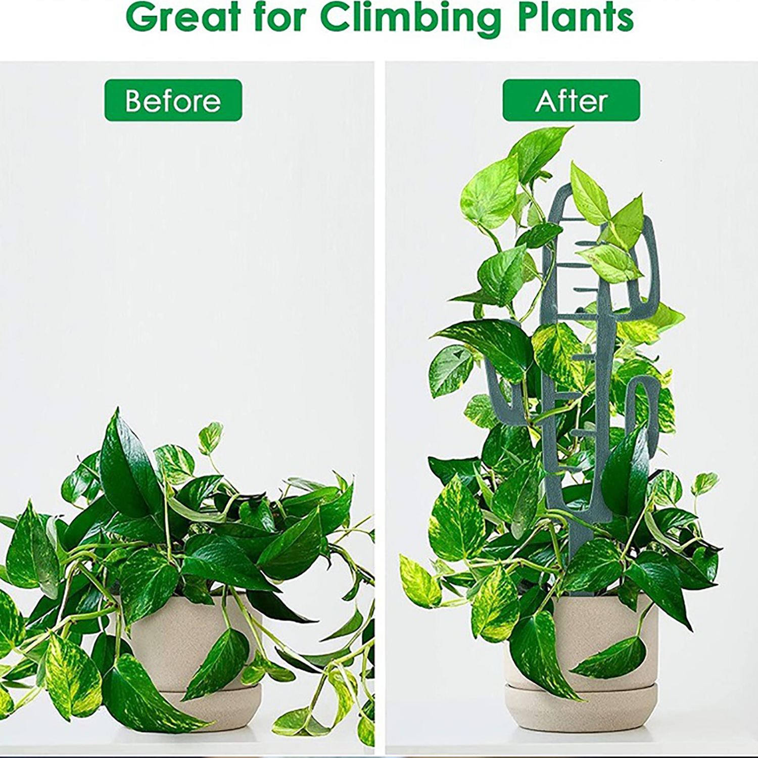 Plant Climbing Support Stand F - Vine Climbing Plastic 评论和价格