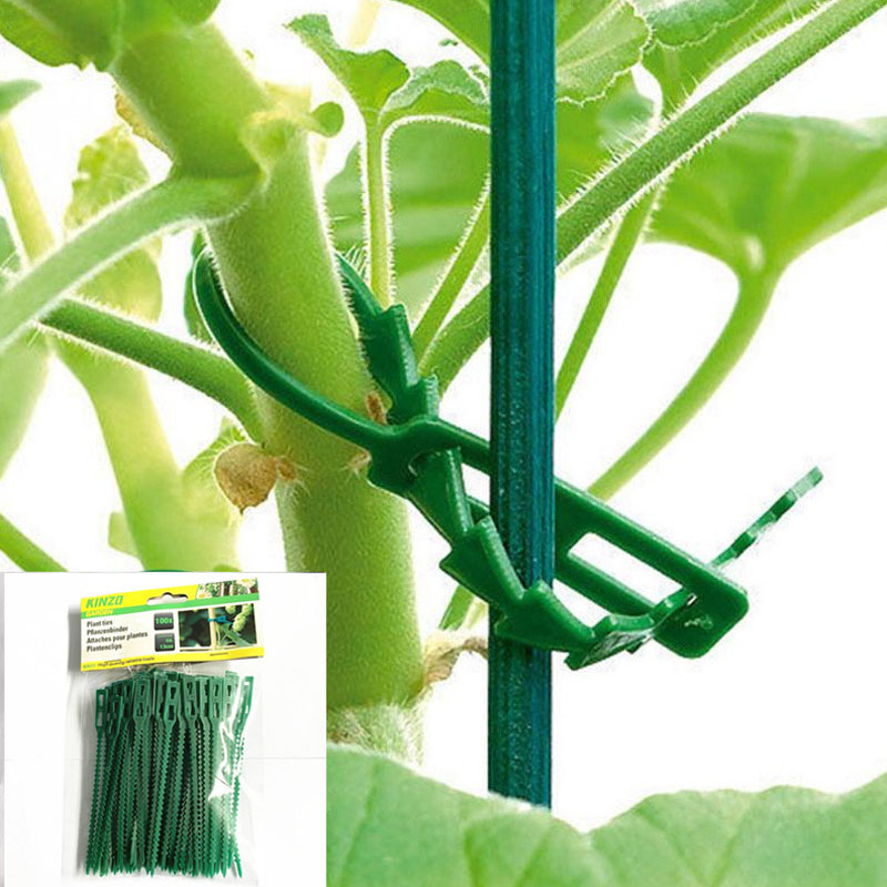 13cm Adjustable Plastic Plant  - Vine Climbing Plastic 评论和价格